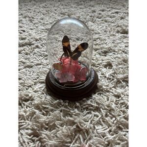 Vintage Gerhard & Co Butterfly Flowers Dome Cloche  Glass Real Taxidermy 1970’s